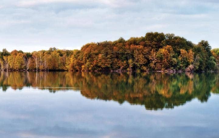 Hero JPG-Reflection Of Autumn Trees At Lake 1140x720